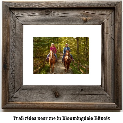 trail rides near me in Bloomingdale, Illinois